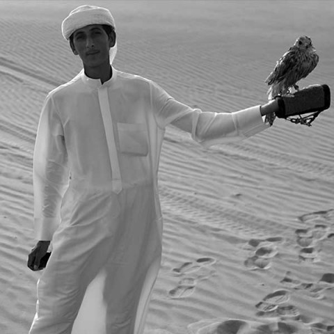 UAE, Dubai falconer